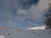 2018-01-13 M. Orsello 054